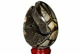 Septarian Dragon Egg Geode - Black Crystals #121255-1